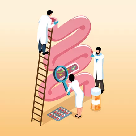 Kolonoszkópia (vastagbéltükrözés)