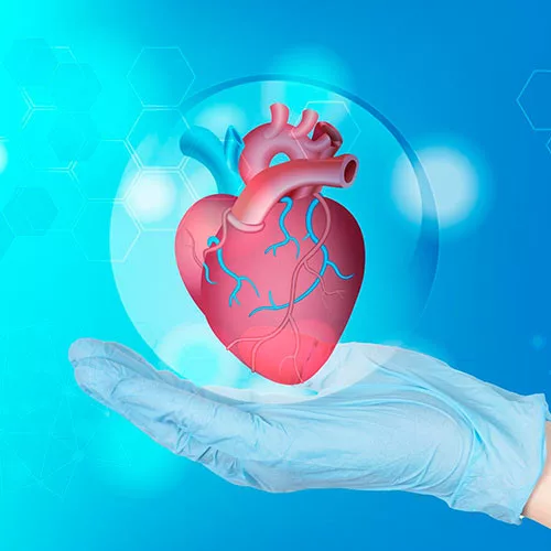 Kardiovaszkularis rizikó felméréséhez szükséges csomag